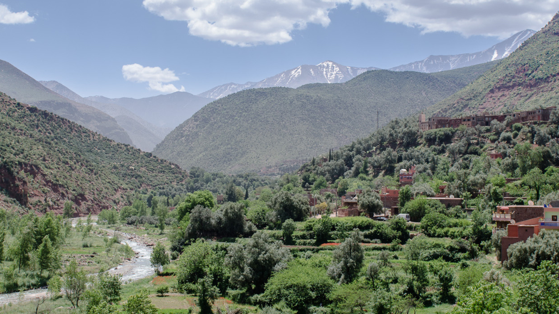 Untitled design (11)