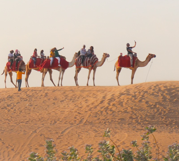SAFARI DANS LE DÉSERT DE DUBAÏ